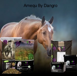 Dangro Amequ laver kvalitets foder til hestene hvor der især er fokus på sundhed, fordøjelsessystem, huld, præstation og meget mere
